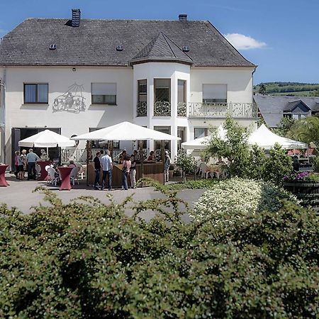 Gaestehaus Und Weingut Bernd Frieden Nittel Exteriér fotografie