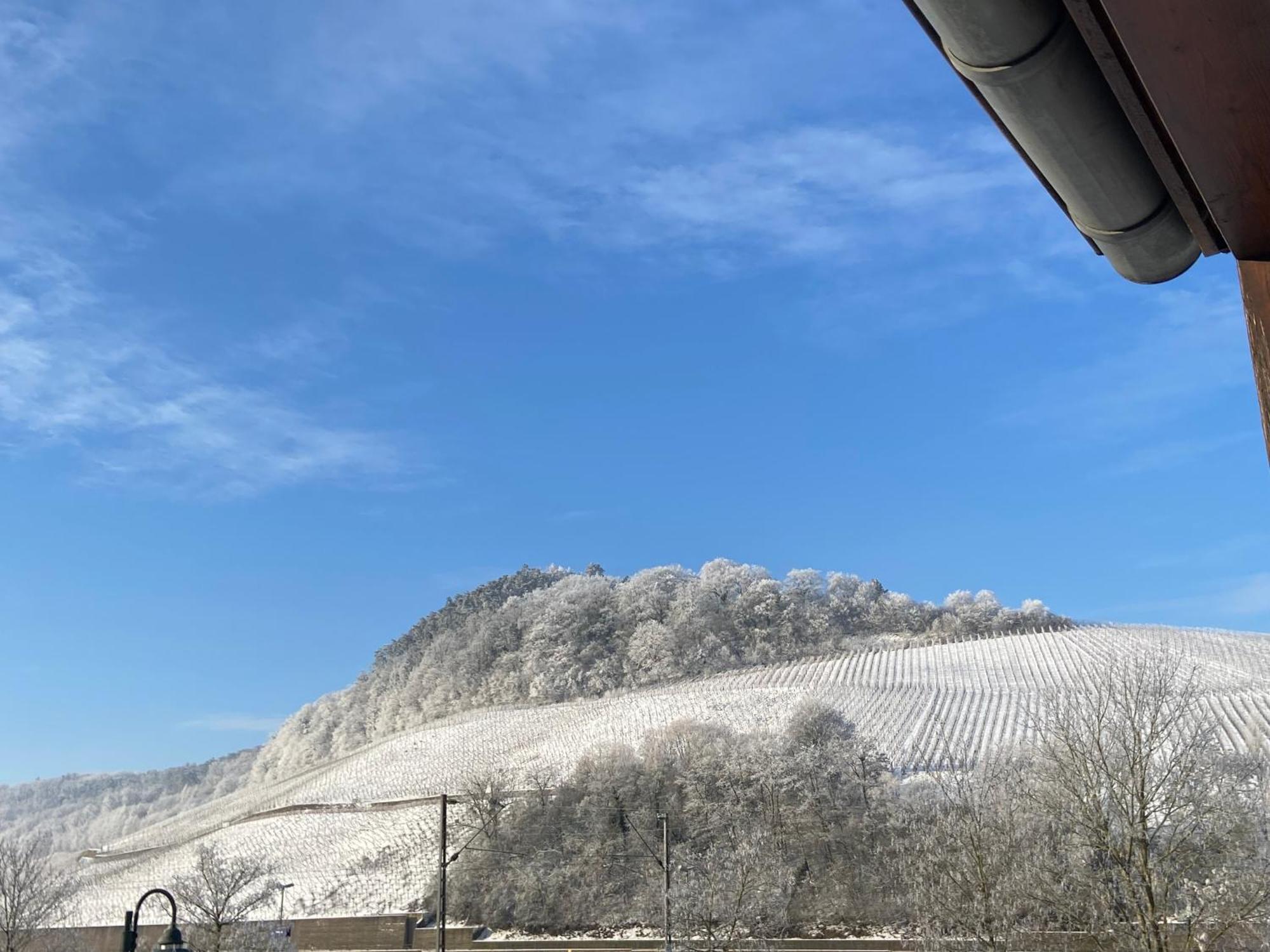 Hotel Gastehaus Und Weingut Bernd Frieden Nittel Exteriér fotografie