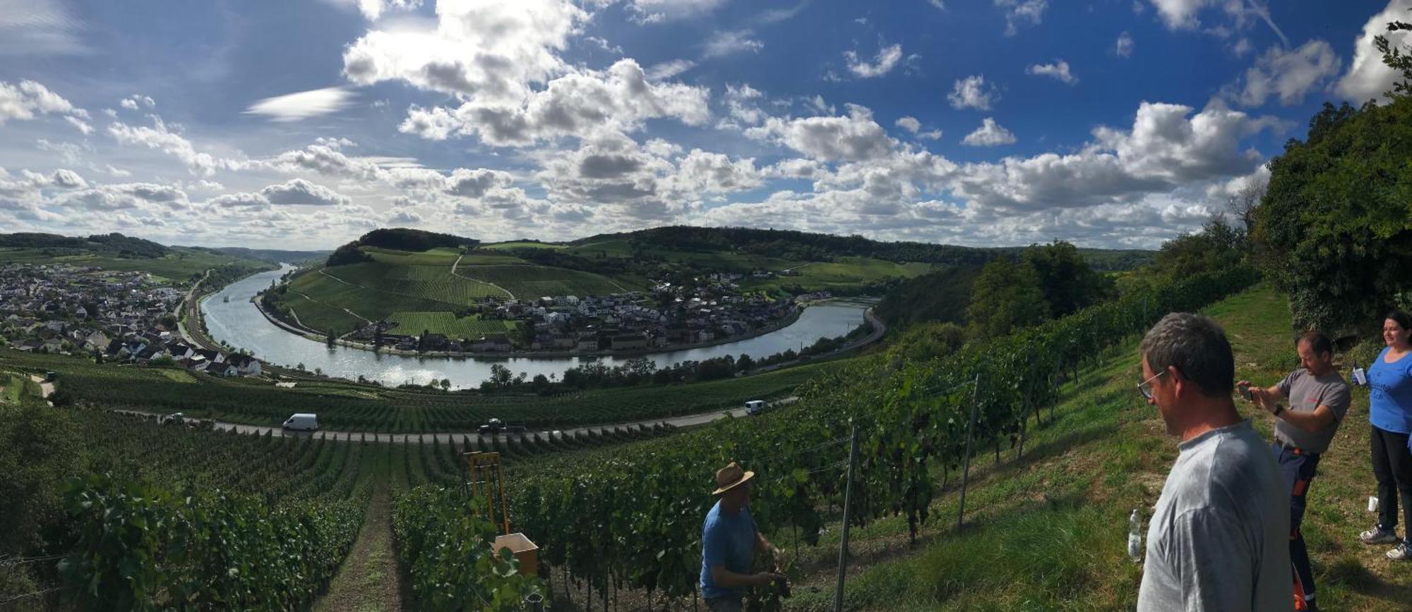 Gaestehaus Und Weingut Bernd Frieden Nittel Exteriér fotografie