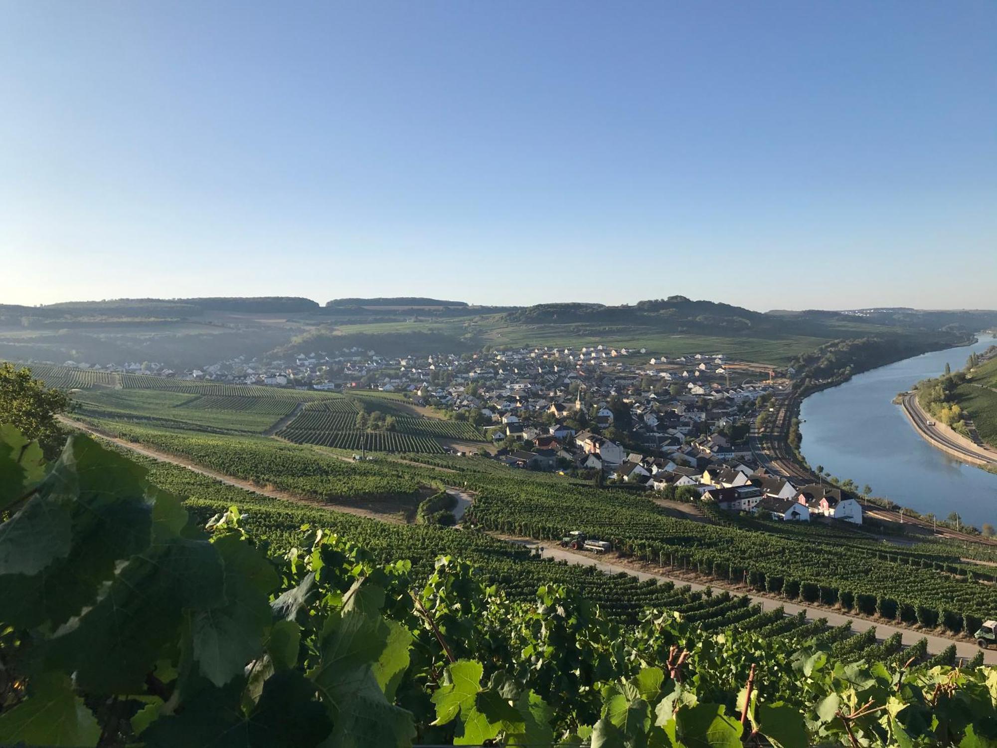 Gaestehaus Und Weingut Bernd Frieden Nittel Exteriér fotografie