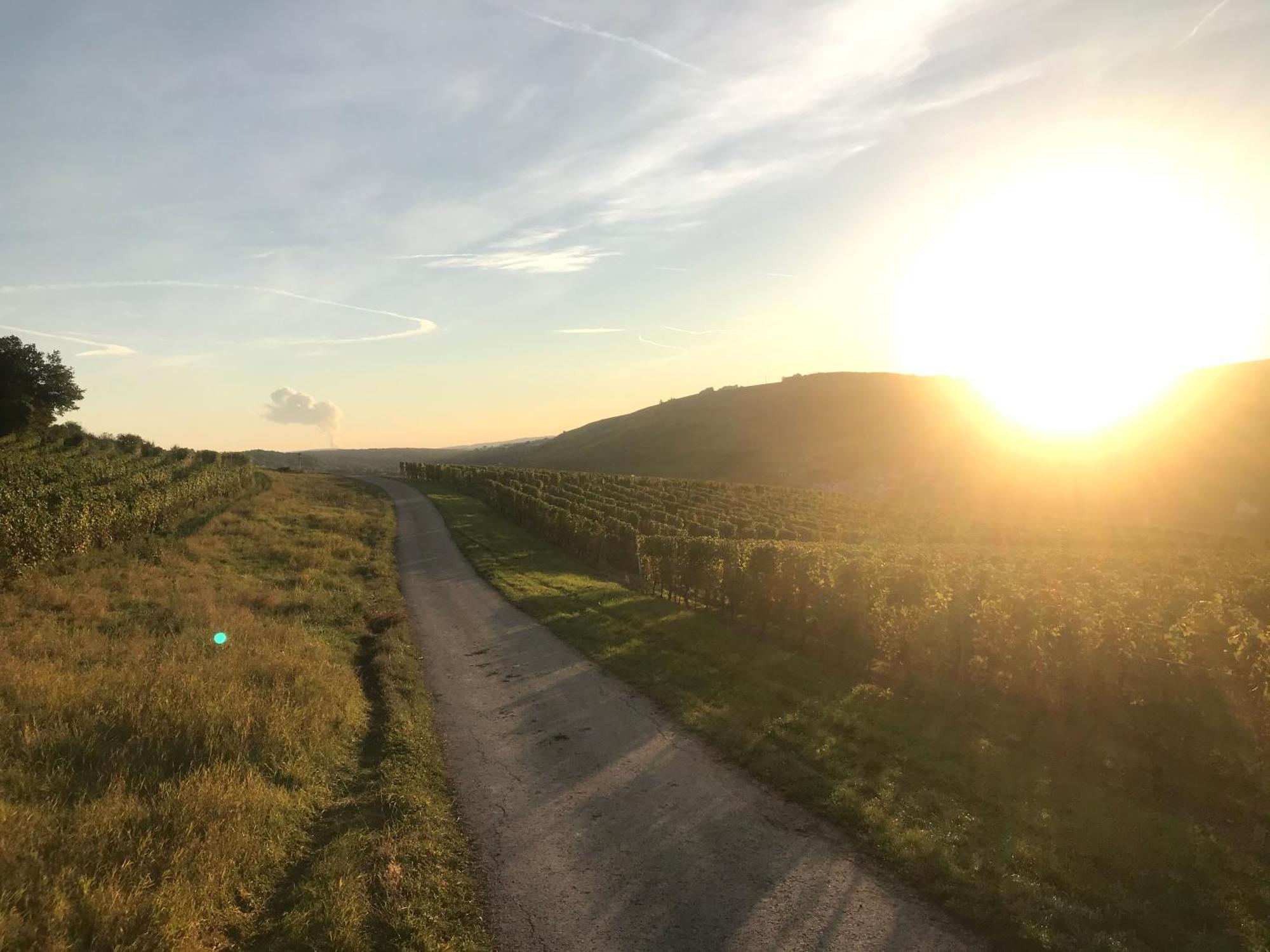 Gaestehaus Und Weingut Bernd Frieden Nittel Exteriér fotografie