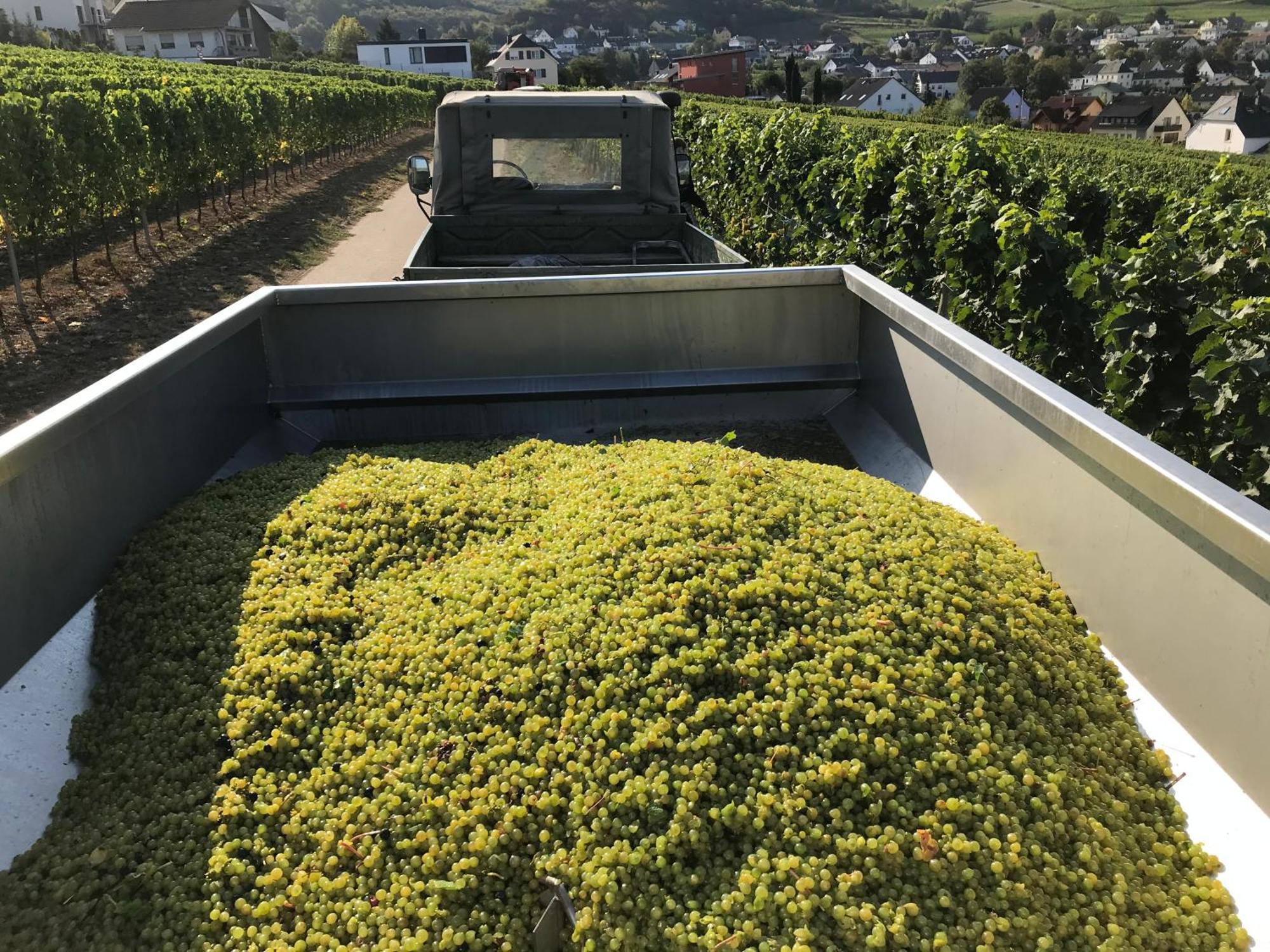 Hotel Gastehaus Und Weingut Bernd Frieden Nittel Exteriér fotografie